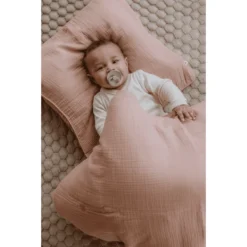 BIBS® Fopspeen Colour Baby Roze/Lavendel 0-6 Maanden, 2 Stuks. -Lief En Klein bibs fopspeen colour baby roze lavendel 0 6 maanden 2 stuks a394486 4