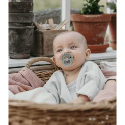 BIBS Fopspeen Colour Ivoor/Sage 6-18 Maanden, 4 St. -Lief En Klein bibs fopspeen colour ivoor sage 6 18 maanden 4 st a321077 3