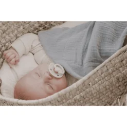 BIBS Fopspeen Colour Ivoor/Sage 6-18 Maanden, 4 St. -Lief En Klein bibs fopspeen colour ivoor sage 6 18 maanden 4 st a321077 4