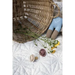 BIBS Fopspeen De Lux Vanille / Donkere Eik 0-36 Maanden, 4 St. -Lief En Klein bibs fopspeen de lux vanille donkere eik 0 36 maanden 4 st a321144 4