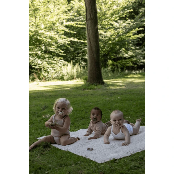 BIBS Fopspeen De Lux Vanille / Donkere Eik 0-36 Mnd, 2 St. 2 BIBS Fopspeen De Lux Vanille / Donkere Eik 0-36 Mnd, 2 St. - Afbeelding 2