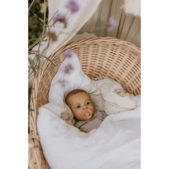 BIBS Soother Colour Desert Sand & Sunshine 0-6 Maanden, 2 Stuks. -Lief En Klein bibs soother colour desert sand amp sunshine 0 6 maanden 2 stuks a354522 2