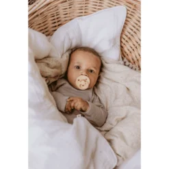 BIBS Soother Colour Desert Sand & Sunshine 0-6 Maanden, 2 Stuks. -Lief En Klein bibs soother colour desert sand amp sunshine 0 6 maanden 2 stuks a354522 4