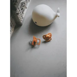 Filibabba Fopspeen +6 Maanden Roest, 2 Stuks -Lief En Klein filibabba fopspeen 6 maanden roest 2 stuks a343492 3