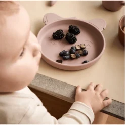 Nuuroo Siliconen Plaat Akila Koala 2 Stuks, Woodrose -Lief En Klein nuuroo siliconen plaat akila koala 2 stuks woodrose a363179 4